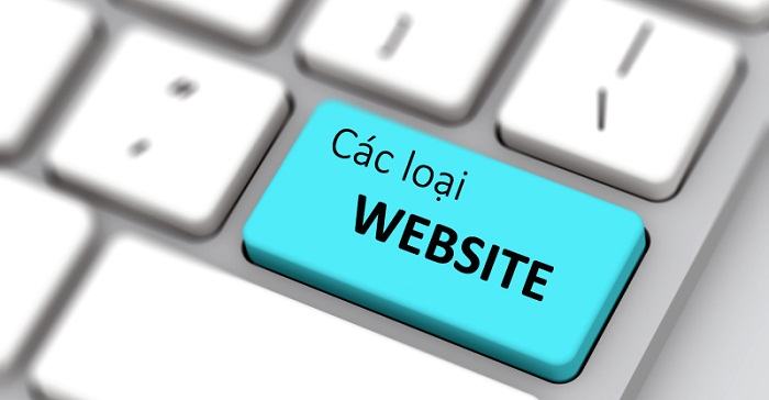 Có bao nhiêu loại website phổ biến hiện nay?