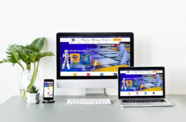 Website Indupaint